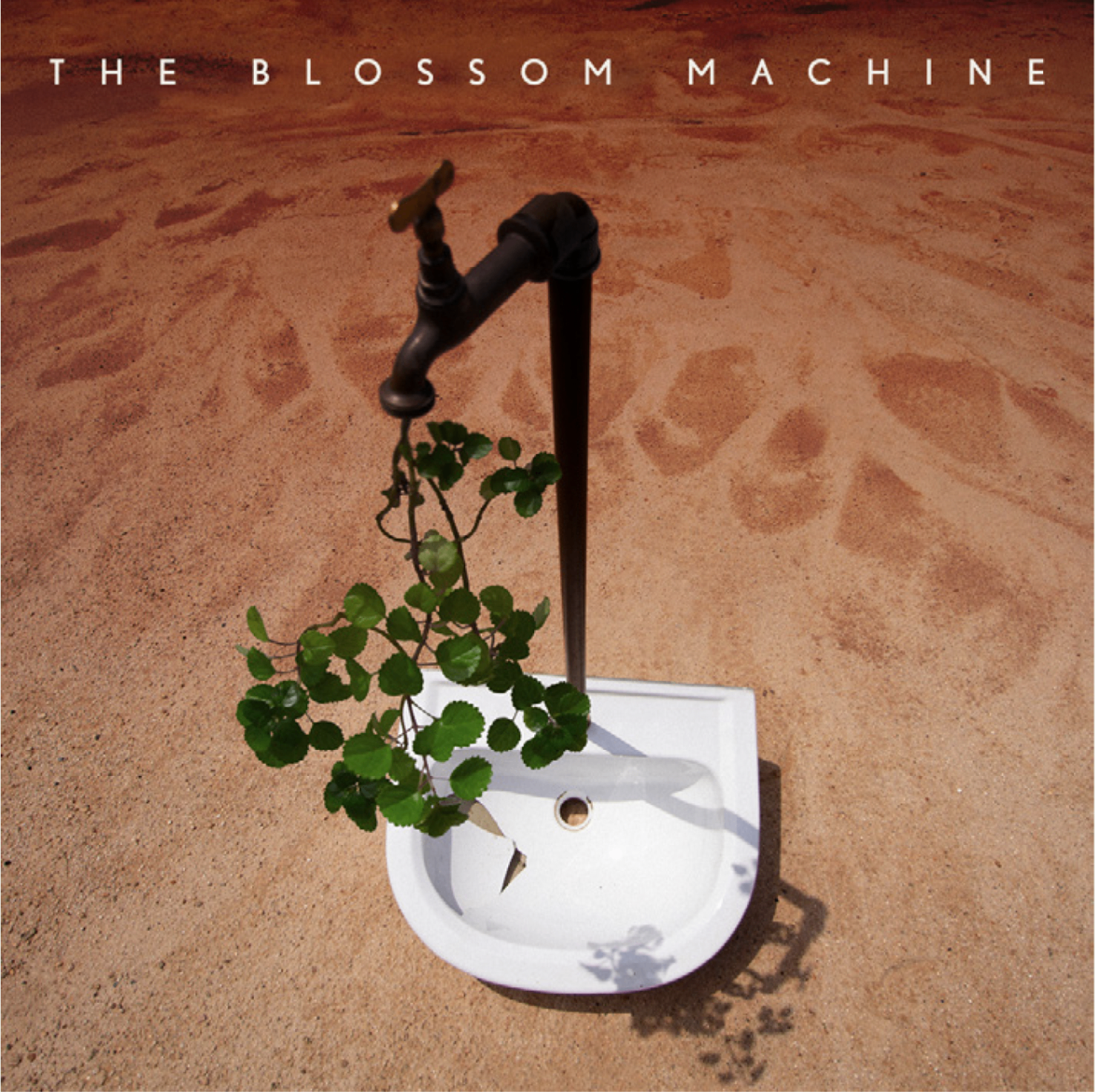 The Blossom Machine